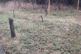 Продается Дом, 7 Kомнатная, Терджола, Godogani 