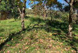 Продается Дом, 7 Kомнатная, Терджола, Godogani 