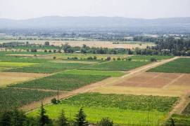 Land For Sale, Agricultural, Tserovani