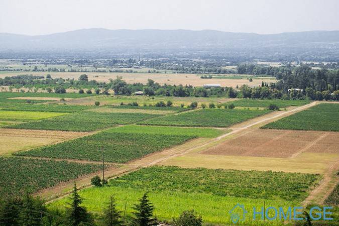 Land For Sale, Agricultural, Tserovani