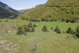 Land For Sale, Nikortsminda