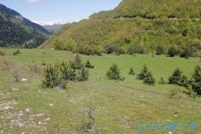 Land For Sale, Agricultural, Nikortsminda