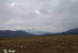 Land For Sale, Agricultural, Nikortsminda