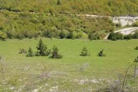 Land For Sale, Agricultural, Nikortsminda