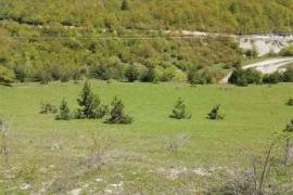 Land For Sale, Nikortsminda