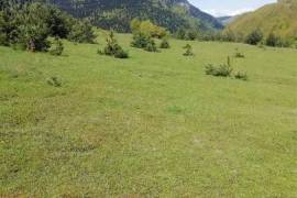 Land For Sale, Nikortsminda