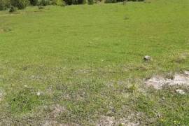 Land For Sale, Nikortsminda