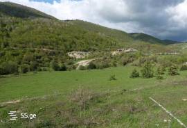 Land For Sale, Agricultural, Nikortsminda