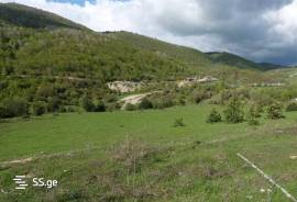 Land For Sale, Nikortsminda