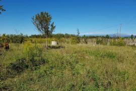 Land For Sale, Gumbra