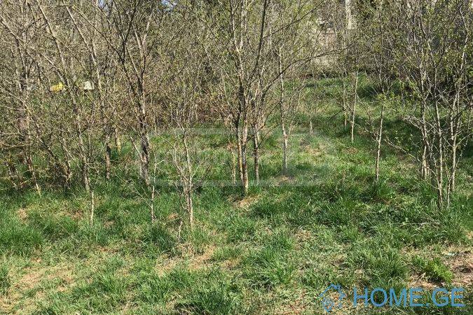 Продается Земля, Сельскохозяйственные, Коджори