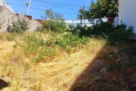 Land For Sale, Isani