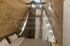 Daily Rent, 4 Room, Dusheti , Bazaleti