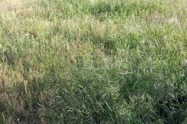 Land For Sale, For Investment