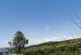 იყიდება მიწის ნაკვეთი, სასოფლო - სამეურნეო, ზაქარო