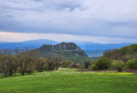 House For Sale, 5 Room, Suburbs of Tbilisi, Betania