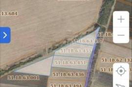 Land For Sale, Arashenda