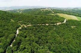 Land For Sale, Agricultural, Orbeti 