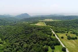 Продается Земля, Сельскохозяйственные, Orbeti 