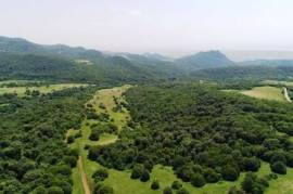 Land For Sale, Agricultural, Orbeti 
