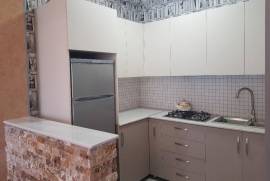 Аренда, 3 Kомнатная, Новостройка, Тбилиси, Дидубе