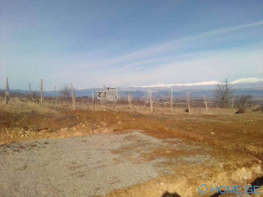 Land For Sale, Agricultural, Vardisubani