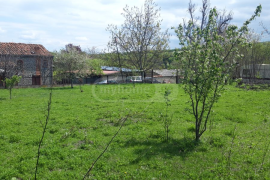 Land For Sale, Agricultural, Telavi