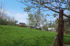 Land For Sale, Agricultural, Telavi