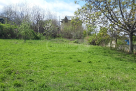 Land For Sale, Agricultural, Telavi