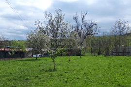 Land For Sale, Agricultural, Telavi