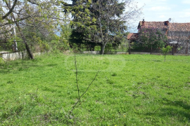 Land For Sale, Agricultural, Telavi