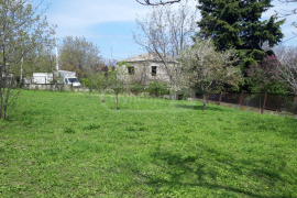 Land For Sale, Agricultural, Telavi