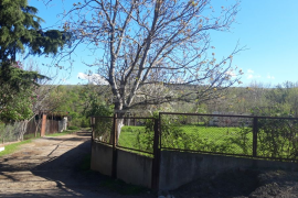 Land For Sale, Agricultural, Telavi