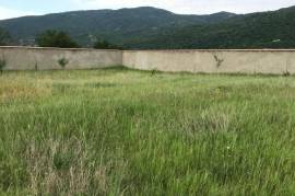 Land For Sale, Aragvispiri