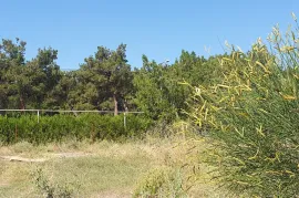 Land For Sale, Agricultural, Digomi 1 - 9