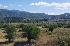 Land For Sale, Agricultural, Digomi 1 - 9
