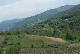 Land For Sale, Agricultural, Abanoeti