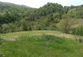 Land For Sale, Abanoeti