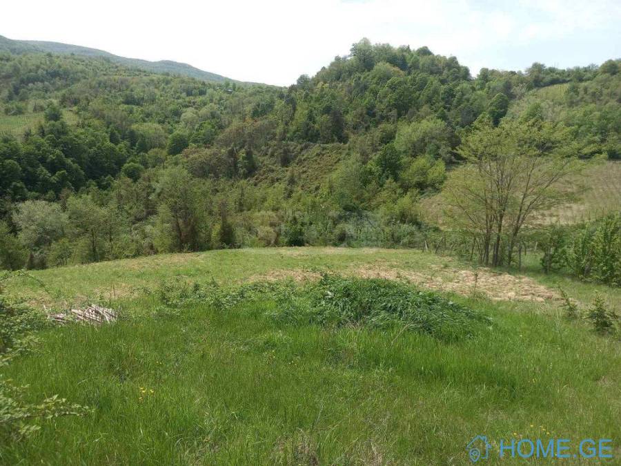 Land For Sale, Agricultural, Abanoeti