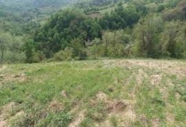 Land For Sale, Agricultural, Abanoeti