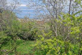 House For Sale, 8 Room, Suburbs of Tbilisi, Shindisi