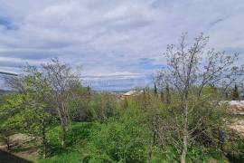 House For Sale, 8 Room, Suburbs of Tbilisi, Shindisi