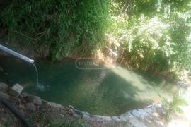 Аренда Земли