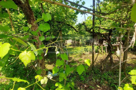 House For Sale, 2 Room, Ozurgeti , Zeda Bakhvi