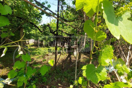 House For Sale, 2 Room, Ozurgeti , Zeda Bakhvi