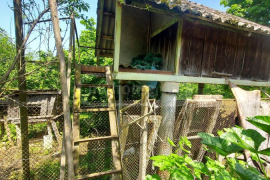 House For Sale, 2 Room, Ozurgeti , Zeda Bakhvi