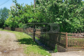 House For Sale, 2 Room, Ozurgeti , Zeda Bakhvi