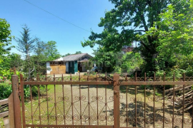 House For Sale, 2 Room, Ozurgeti , Zeda Bakhvi