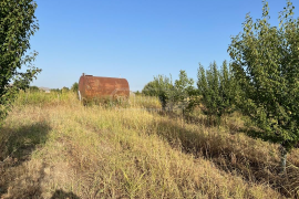 Land For Sale, Agricultural, Kvemo Qulari