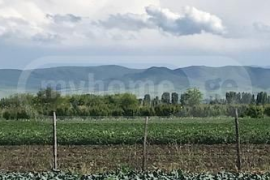 Land For Sale, Agricultural, Kvemo Qulari